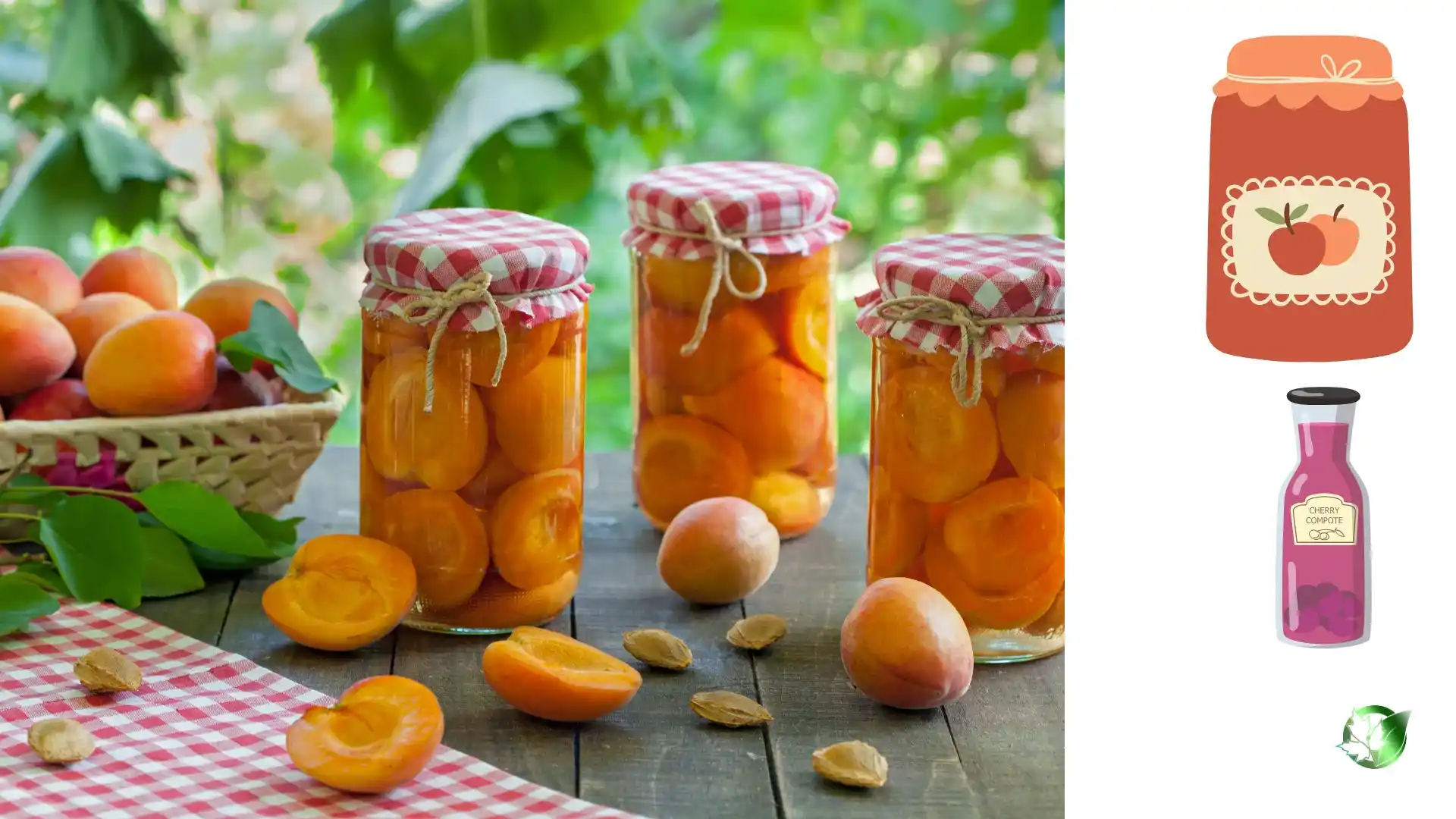 Compote & Canned Fruits quality, format, and packaging should be matched to the buyer’s target application.